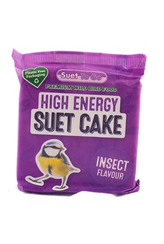 Suet to Go Block Insect 280 g von Suet To Go