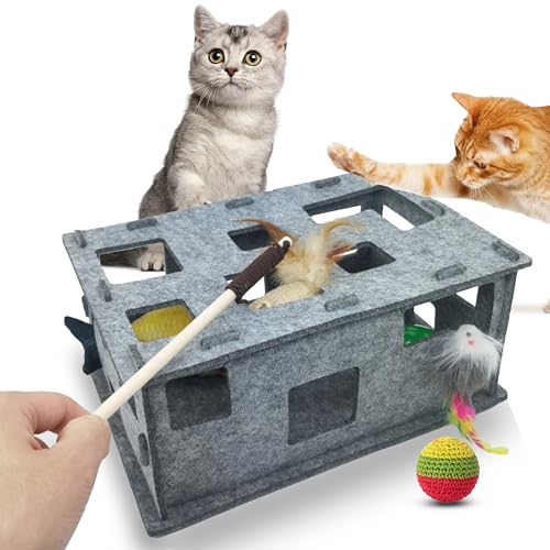 Sugeru®Katzenspielzeug Selbstbeschäftigung aus Filz,Interaktives Katzenspielzeug Box zur Selbstbeschäftigung und Gemeinsam Spielen | Cat Futterspiel,Intelligenzspielzeug,katzentunnel Gute Qualität von Sugeru