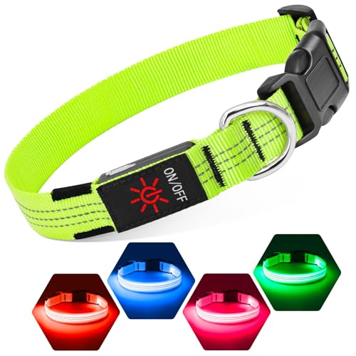 Suggifamy Leuchthalsband Hund - 3 Lichtmodi Hunde Leuchthalsband, Verstellbares Hundehalsband Leuchtend mit USB & Reflektierendem & D-Ring Gurt für Nachtsicherheit bei Hunden Aller Größen (Grün, M) von Sugiifamy