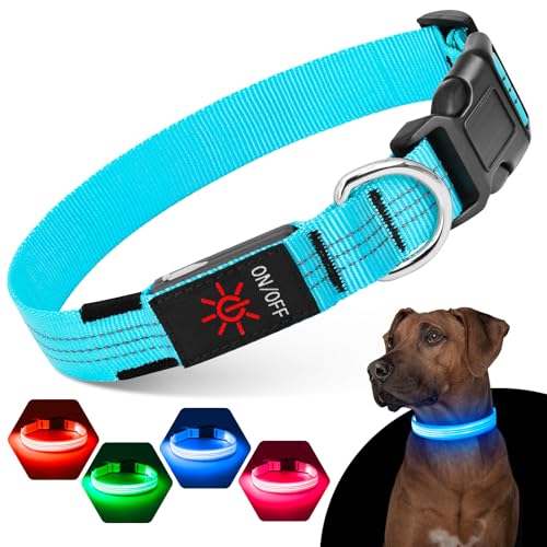 Suggifamy Leuchthalsband Hund, Wiederaufladbar mit 3 Lichtmodi - USB Hunde Leuchthalsband, Verstellbares Hundehalsband Leuchtend mit Reflektierendem Gurt & D-Ring für Nachtspaziergänge (Blau M) von Sugiifamy