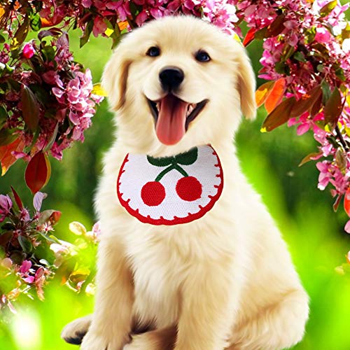 Sugoyi Hundeschalhalsband, bequemes Bequemes Welpenlätzchen, leicht für Katzenhunde Foto Alltagskleidung(S) von Sugoyi