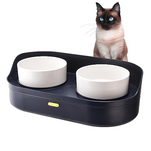 Suhaco Katzennäpfe erhöhter Katzennapf mit Doppelnäpfen, großes Fassungsvermögen, Futter- und Wasser-Futternapf-Set mit Aufbewahrungsbehälter, rutschfest für Indoor-Katzen oder kleine, mittelgroße von Suhaco