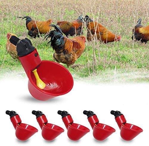 5 Stücke Geflügel Trinkbrunnen, Huhn Trinkbecher Automatische Float Geflügel Waterer Trinkbecher für Vogel Wachtel Taube Huhn Henne von Suhey