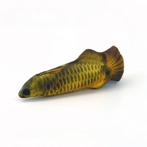 Katzenspielzeug, Trainingsunterhaltung, Plüschfisch, Plüschkissen, Fischsimulation, Katzenspielzeug, interaktiver Fisch, Kauspielzeug für Haustiere, Zubehör F von SuiHeill