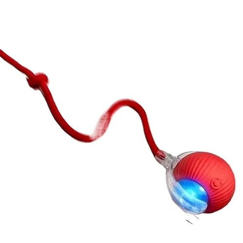SuiHeill Interaktives Spielzeug in Ballform für Katzen, automatisch rollender Ball mit Schwanz, intelligentes wiederaufladbares Spielzeug für Haustiere, intelligente Maus für Katzen (1) von SuiHeill