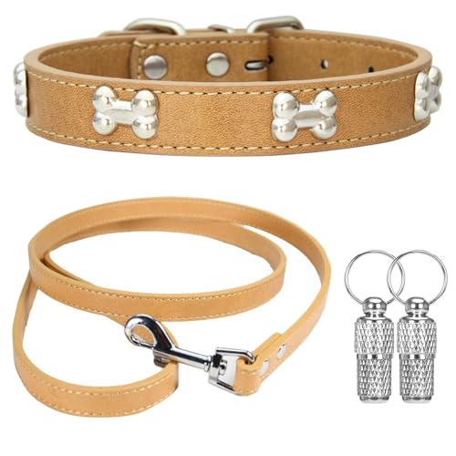 Suiecuor Halsband und Leinenhalsband Lederhalsband Hund Hundehalsband mit Metallknochendekoration Geeignet für kleine mittlere groß Hunde und Katzen Khaki M von Suiecuor