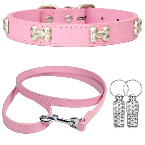 Suiecuor Halsband und Leinenhalsband Lederhalsband Hund Hundehalsband mit Metallknochendekoration Geeignet für kleine mittlere groß Hunde und Katzen Rosa M Suiecuor Halsband und Leinenhalsband Lederhalsband Hund Hundehalsband mit Metallknochendekoration Geeignet für kleine mittlere groß Hunde und Katzen Rosa M von Suiecuor