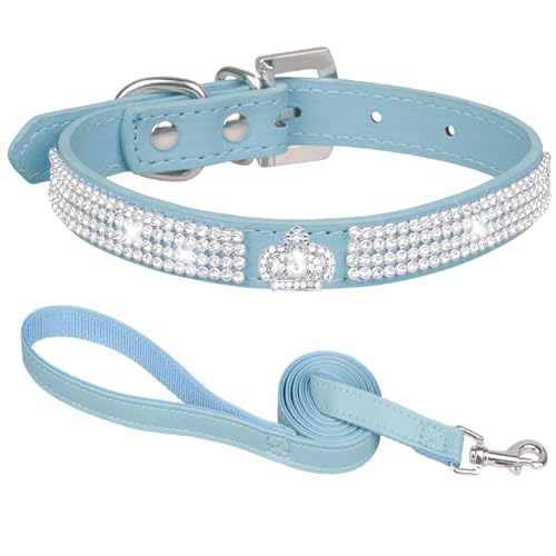 Suiecuor Hundehalsband mit Leine hundehalsband Strass hundehalsband kleine Hunde lederhalsband Hund für kleine mittlere und große Hunde Blau XS Suiecuor Hundehalsband mit Leine hundehalsband Strass hundehalsband kleine Hunde lederhalsband Hund für kleine mittlere und große Hunde Blau XS von Suiecuor
