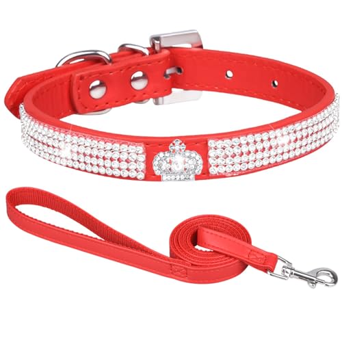 Suiecuor Hundehalsband mit Leine hundehalsband Strass hundehalsband kleine Hunde lederhalsband Hund für kleine mittlere und große Hunde Rot M Suiecuor Hundehalsband mit Leine hundehalsband Strass hundehalsband kleine Hunde lederhalsband Hund für kleine mittlere und große Hunde Rot M von Suiecuor