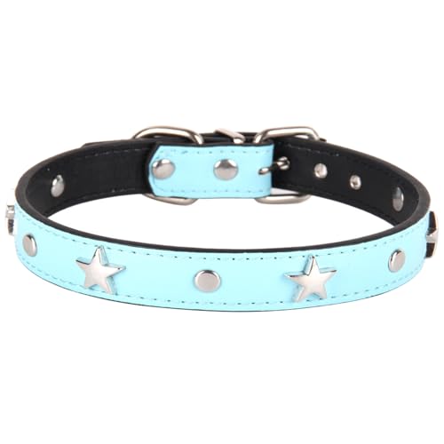 Suiecuor Lederhalsband Hund Welpenhalsband mit Metall Pentagramm Dekoration Halsband Hund Geeignet für kleine mittlere Hunde und Katzen Azurblau M Suiecuor Lederhalsband Hund Welpenhalsband mit Metall Pentagramm Dekoration Halsband Hund Geeignet für kleine mittlere Hunde und Katzen Azurblau M von Suiecuor