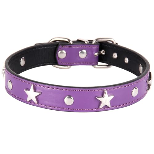 Suiecuor Lederhalsband Hund Welpenhalsband mit Metall Pentagramm Dekoration Halsband Hund Geeignet für kleine mittlere Hunde und Katzen Lila M von Suiecuor