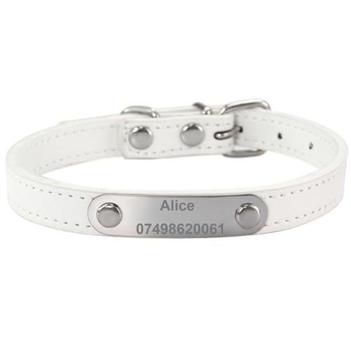 Suiecuor Personalisiertes Hundehalsband aus Leder Hundehalsband mit personalisierter Hundemarke aus Edelstahl Kleine Mittlere Große Hundehalsbänder Suiecuor Personalisiertes Hundehalsband aus Leder Hundehalsband mit personalisierter Hundemarke aus Edelstahl Kleine Mittlere Große Hundehalsbänder von Suiecuor