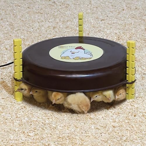 Heizlüfter für Küken, 18 W, 220/240 V, Maße: 35 x 20 cm Heizlüfter für Küken, 18 W, 220/240 V, Maße: 35 x 20 cm von Suinga
