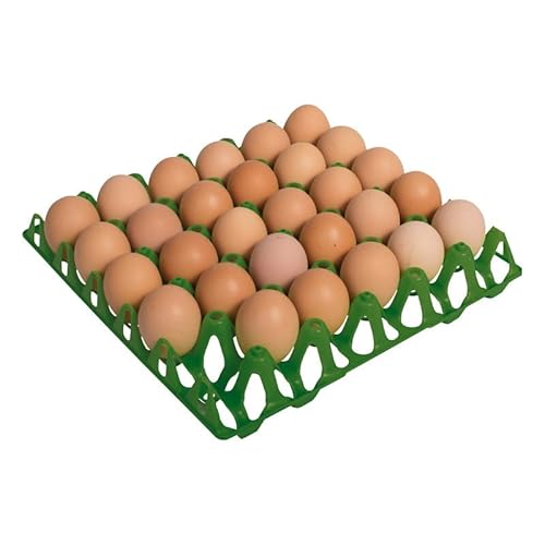 Packung mit 10 x Kunststofftablett mit 30 Eiern, Maße 30 x 30 x 5 cm von Suinga