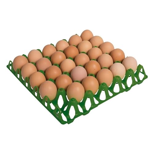 Suinga Packung mit 5 Kunststoff-Tabletts für 30 Eier, 30 x 30 x 5 cm, Grün von Suinga