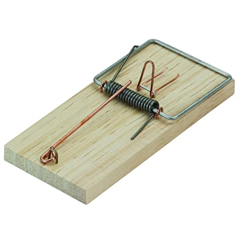 Suinga Retonera Brett aus Holz. Packung mit 12 Stück. Maße: 6 x 13 cm von Suinga