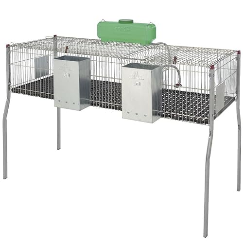 Suinga Verzinkter Kaninchenkäfig mit Trichter und Tränken, 2 Fächer, Kunststoffboden, 157 x 63 x 98 cm, Grau Suinga Verzinkter Kaninchenkäfig mit Trichter und Tränken, 2 Fächer, Kunststoffboden, 157 x 63 x 98 cm, Grau von Suinga