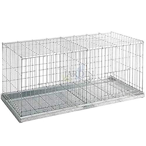 Suinga Vogelkäfig mit zwei Fächern, ideal für Vögel, Tauben und andere Geflügel, Käfig mit zwei Türen, 100 x 42 x 47 cm Suinga Vogelkäfig mit zwei Fächern, ideal für Vögel, Tauben und andere Geflügel, Käfig mit zwei Türen, 100 x 42 x 47 cm von Suinga