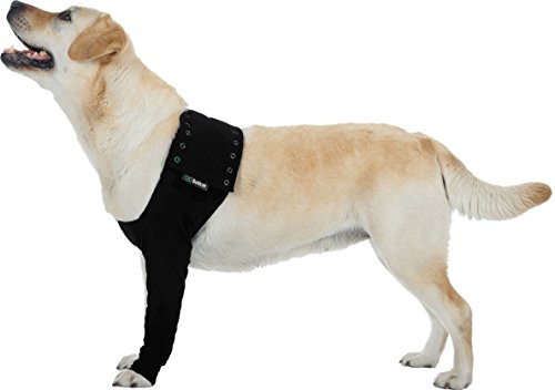 Suitical Recovery Sleeve Hund, XXS, Schwarz von Suitical