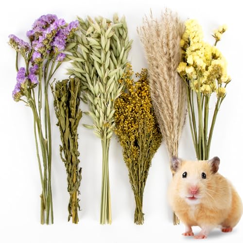 Sukh Herb Bedding Habitat Decor - Natural Flower Hamster Mate Herbs Sprays Cage Safe Pet Accessories Decorations Hideout for Hamsters Mouse Guinea Pig Dwarf Gerbils Syrian Mice von Sukh