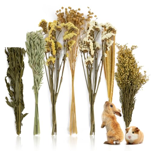 Sukh Natürliche Hamster-Einstreu – Blumenkräuter-Sprays, Gehege, Dekoration und Versteck Bereicherung des Lebensraums, ideal für Zwerghamster, syrische Rennmäuse, Mäuse und andere kleine Nagetiere von Sukh