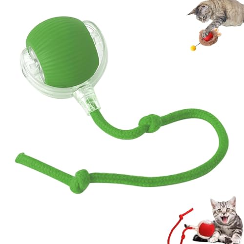 Chewie Rollball Viral – Interaktives Spielzeug für Katzen und Hunde, elektrisch und intelligent, 360 ° Chewie Rollball Viral – Interaktives Spielzeug für Katzen und Hunde, elektrisch und intelligent, 360 ° von Sulobom