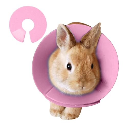 Hamster Halskrause - Weiche Halskrause für Katzen zur Erholung - Bequeme Halsbekleidung und Haustierzubehör für Mäuse, Katzentraining, Reise, Frettchen, mit Wundschutz und Leckverhinderung Hamster Halskrause - Weiche Halskrause für Katzen zur Erholung - Bequeme Halsbekleidung und Haustierzubehör für Mäuse, Katzentraining, Reise, Frettchen, mit Wundschutz und Leckverhinderung von Sulxyi