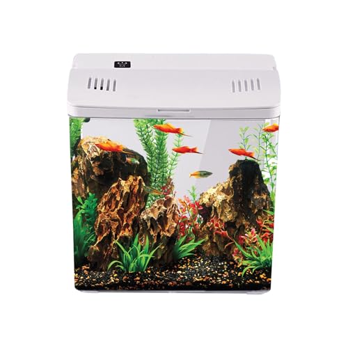 Haushaltsaquarium, platzsparendes Design, 22 x 22 x 17 cm, Fischtank mit Filter, Betta-Fischtank, leicht errichten und zu pflegen, für das Wohnzimmer zu Hause von Sulxyi
