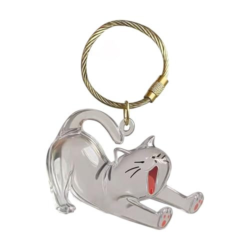 Sulxyi Haustier-Andenken-Box, Hundehaar-Schlüsselanhänger, Gedenk-Acryl, klarer Anhänger, Schlüsselanhänger für Herren, Charm, Geldbörse, Sammlung, Rucksack, Damentasche von Sulxyi