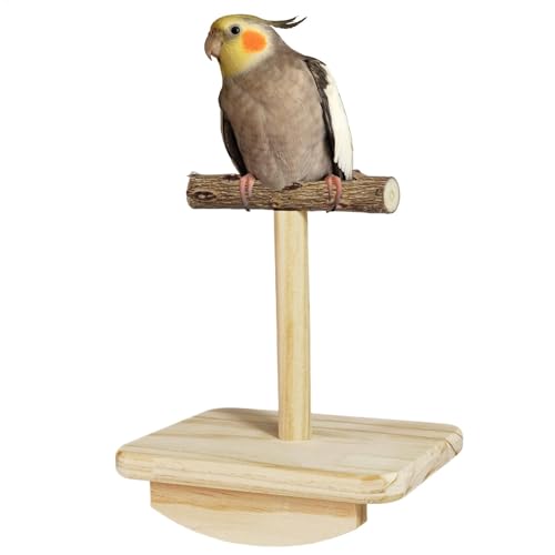 Vogelstange Schaukel, Sittich Schleifstab, Käfigzubehör Vogel, kleine Vogelsitzstange, Nymphensittich-Sitzstange, Naturholzkonstruktion, interaktive Schaukelstange für kleine Vögel, Sittiche, Vogelstange Schaukel, Sittich Schleifstab, Käfigzubehör Vogel, kleine Vogelsitzstange, Nymphensittich-Sitzstange, Naturholzkonstruktion, interaktive Schaukelstange für kleine Vögel, Sittiche, von Sulxyi