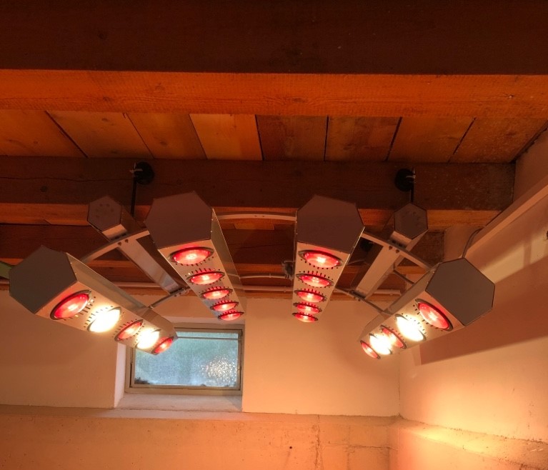 Summerwind 4 x Uv – Lampen mit je 300 Watt Für Pferdesolarien Light Iii + Iv Summerwind 4 x Uv – Lampen mit je 300 Watt Für Pferdesolarien Light Iii + Iv von Summerwind