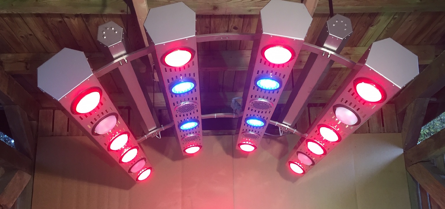 Summerwind 8 x Led-Farblicht für Premium Für das Pferdesolarium Premium Summerwind 8 x Led-Farblicht für Premium Für das Pferdesolarium Premium von Summerwind
