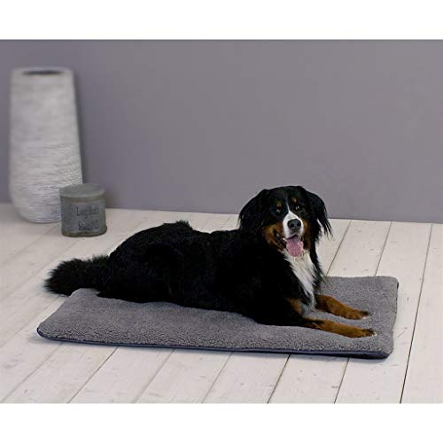 Sun Garden Malu Hunde- und Katzendecke 50x30x5 cm Grau Sun Garden Malu Hunde- und Katzendecke 50x30x5 cm Grau von Sun Garden