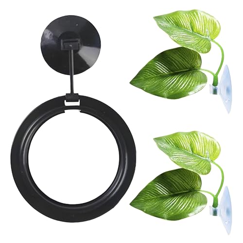 SunGrow Betta Ring- und Blätter-Hängematten, 2 künstliche Fischblätter, Laichboden, Brut- und Ruhebett, Futterplatz, Versteck-Ornament und Aquarium-Dekoration, schwarzer Kreis-Futterspender mit SunGrow Betta Ring- und Blätter-Hängematten, 2 künstliche Fischblätter, Laichboden, Brut- und Ruhebett, Futterplatz, Versteck-Ornament und Aquarium-Dekoration, schwarzer Kreis-Futterspender mit von SunGrow