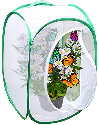 SunGrow Faltbarer Schmetterlings-Lebensraum, 61 cm Schmetterlingskäfig für Raupen, schaffen Sie Schmetterlingsbauernhof, Libelle oder Hausflieger für Hühner- und Reptilienfutter, Grün von SunGrow