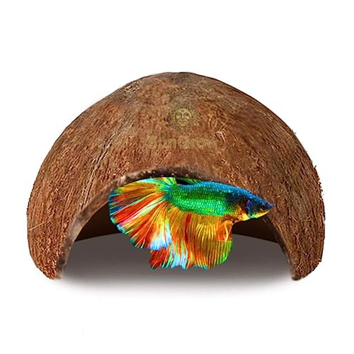 SunGrow Kokosnuss-Höhle, natürlicher Habitat aus Kokosnussschalen, weich strukturierte glatte Kanten und geräumiges Versteck für kleine Fische zum Ausruhen und Züchten, hält Wasserqualität und pH-Wert von SunGrow