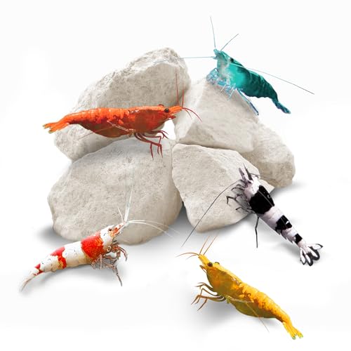 SunGrow Mineral Rocks für Aquarium, magnesiumreiche Steine, Farbverstärker für Haustiere, Calcium hilft beim Häuten, dienen als Nahrungsergänzungsmittel, verbessern die Wasserqualität, 2 Unzen von SunGrow