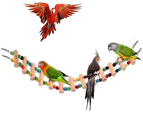 SunGrow Vogelleiter Brücke hilft Vögeln mit Gleichgewicht: hell, langlebig und flexibel: aus natürlichem Holz und essbarer Farbstoff: einfache Installation: ideal für Übungen von SunGrow