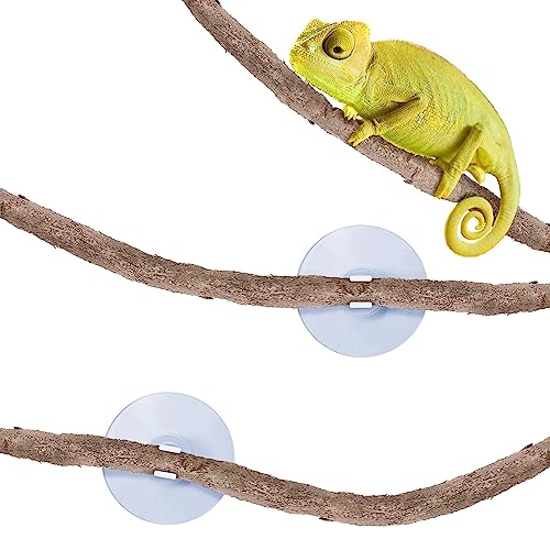Tierranke, drehbar, biegbar, 1,8 m, schafft ein natürlich aussehendes Lebensraum für Reptilien und Amphibien, Dekorations- und Kletterspielzeug für Chamäleons, Baumfrosche, Geckos, 5 Saugnäpfe enthalten von SunGrow