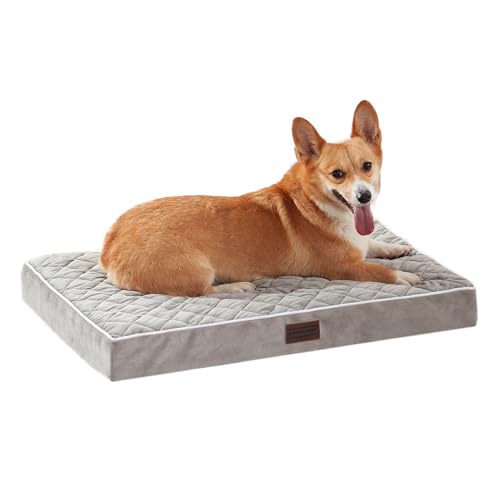 SunStyle Home Orthopädische Hundebetten für mittelgroße Hunde, mittelgroßes Hundebett mit Schaumstoff-Unterstützung, rutschfeste Unterseite und abnehmbarer, waschbarer Bezug, Matratze, von SunStyle Home