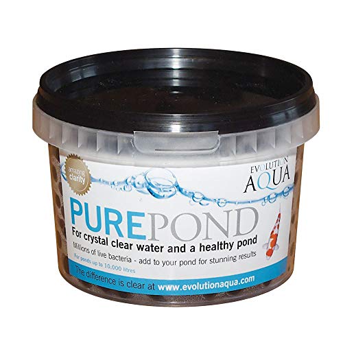 Evolution Aqua Pure Pond 500 ml für Teiche bis 10000 L Filterbakterien Biostarter für den Teich von SunSun