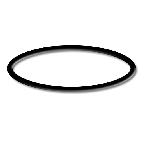 SunSun Ersatzteil Auslass O-Ring für Bio Teichfilter CBF-350B – Durchlauffilter Teich bis 60.000 L Teichvolumen – bis 10000 l/h – 2 Kammer-System Teich Filter Biofilter Koiteich von SunSun