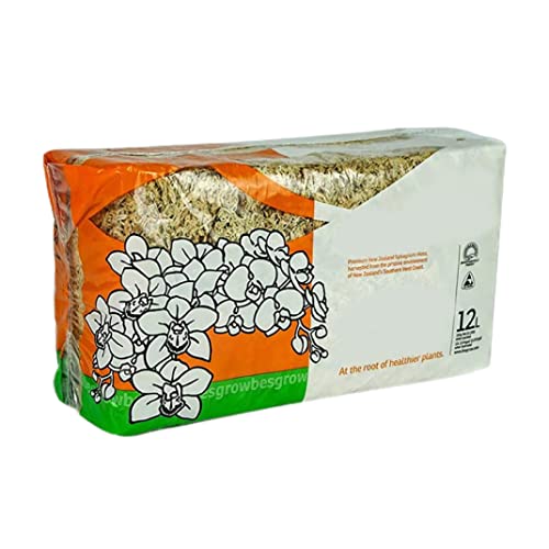 Frisches Sphagnum-Moos, Getrocknetes Sphagnum, 150 G/Beutel, Trockenes Moos FüR Reptilien, Einstreu Und Terrarien-Tierbedarf Sphagnum-Moos Frisches Sphagnum-Moos, Getrocknetes Sphagnum, 150 G/Beutel, Trockenes Moos FüR Reptilien, Einstreu Und Terrarien-Tierbedarf Sphagnum-Moos von SunaOmni