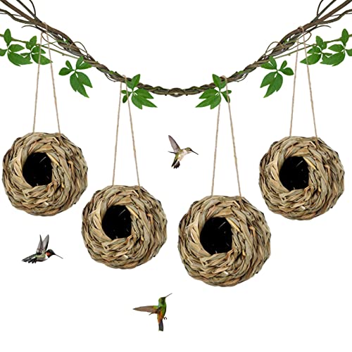 Vogelnest zum Aufhängen, Kolibri-Nest, Haus aus Gras, gewebtes Kolibri-Nest, Vogelhütte für Fenster, Gartendekoration, 4 Stück, 14 x 14 x 6 cm, gewebtes Kolibri-Nest, Gras, Vogelhaus, natürliches Gras Vogelnest zum Aufhängen, Kolibri-Nest, Haus aus Gras, gewebtes Kolibri-Nest, Vogelhütte für Fenster, Gartendekoration, 4 Stück, 14 x 14 x 6 cm, gewebtes Kolibri-Nest, Gras, Vogelhaus, natürliches Gras von SunaOmni