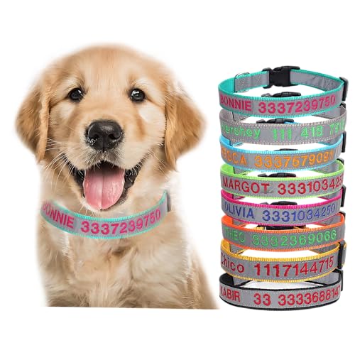 Reflektierendes, anpassbares Hundehalsband mit Namens- und Zahlenstickerei, Nylon-Material von SundayZaZa
