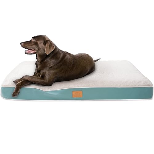 Extra großes orthopädisches Hundebett für große Hunde – XL wasserdichtes Hundebett mit abnehmbarem, waschbarem Bezug und rutschfester Unterseite, Hundebett, Deluxe-Plüsch-Haustierbett-Matte (blau) Extra großes orthopädisches Hundebett für große Hunde – XL wasserdichtes Hundebett mit abnehmbarem, waschbarem Bezug und rutschfester Unterseite, Hundebett, Deluxe-Plüsch-Haustierbett-Matte (blau) von Sunheir