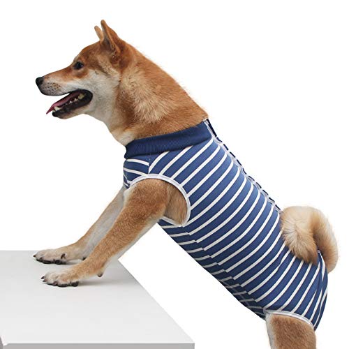 Dog Surgical Recovery Suit Bauchwundenschutz, After Surgery Wear, E-Collar Alternative für Hunde, Heimtierbekleidung (L, Blaue und weiße Streifen) von Sunlane