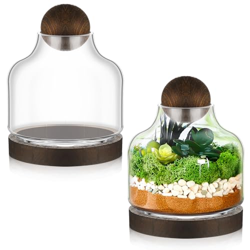 Sunnychicc Glas-Terrarium-Dekoration mit Holzsockel, Kugeldeckel, transparent, großes Glas-Terrarium, Behälter, Display-Terrarium, Gläser für Sukkulenten, Fische, Heimbüro, Dekoration, 18 cm Höhe, 2 von Sunnychicc