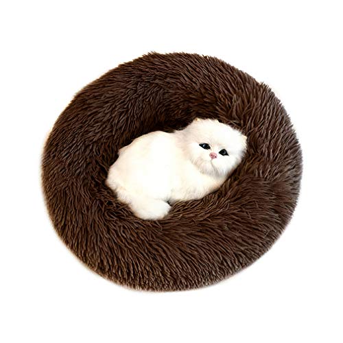 Sunnykud Deluxe Haustierbett Rundes Plüsch Bett für Haustiere in Doughnut-Form Hundebett Katzenbett Flauschig Weich Hundekissen Hundesofa Wasserfeste Unterseite Katzensofa Sunnykud Deluxe Haustierbett Rundes Plüsch Bett für Haustiere in Doughnut-Form Hundebett Katzenbett Flauschig Weich Hundekissen Hundesofa Wasserfeste Unterseite Katzensofa von Sunnykud