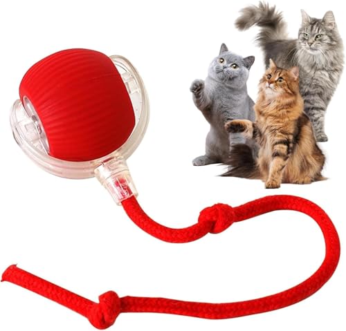Sunshine smile Rolling Ball,Interaktives Hundespielzeug Ball mit Schnur,Interaktives Hundespielzeug,Katzenspielzeug Elektrisch mit USB Aufladbar von Sunshine smile